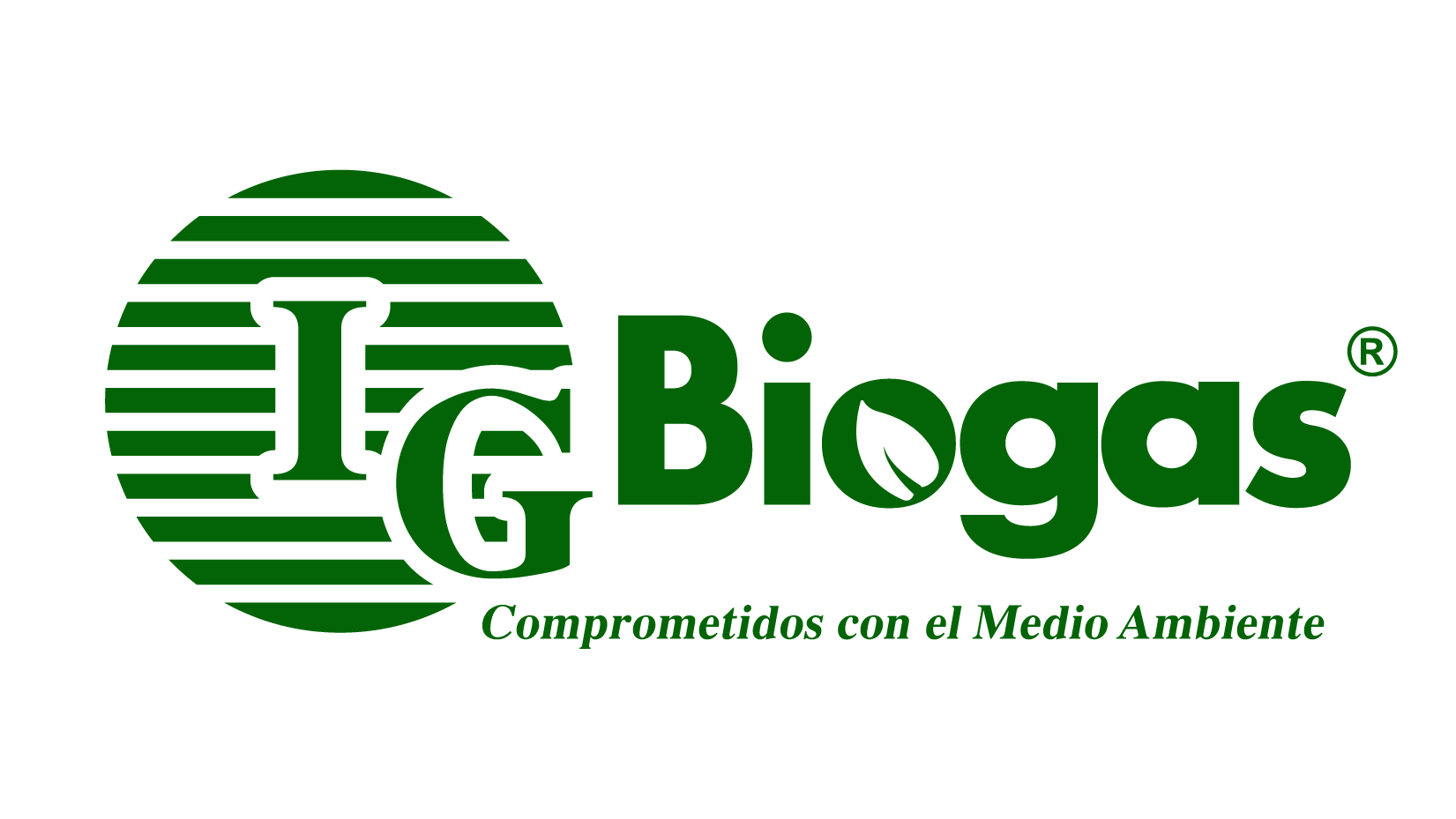 IG Biogas