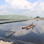 Energía sostenible desde la producción agropecuaria