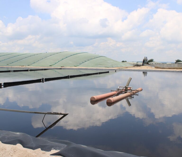 Energía sostenible desde la producción agropecuaria