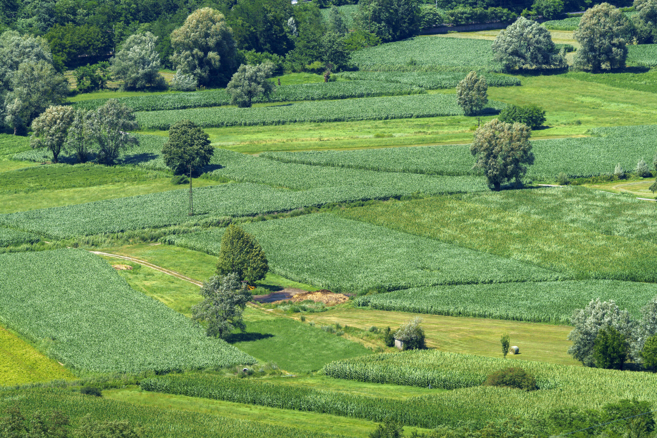 Mountain landscape at summer along the road of Aprica pass, in Sondrio province, Lombardy, Italy