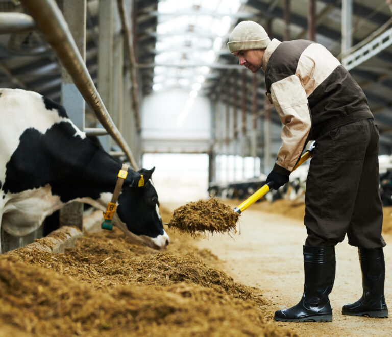 Descubre cómo IGBiogas transforma los residuos ganaderos en energía limpia a través del biogás