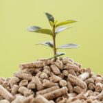Biogás: energía limpia desde el campo de Aguascalientes