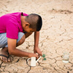 Cómo IGBiogas ayuda a la ganadería frente a la crisis hídrica