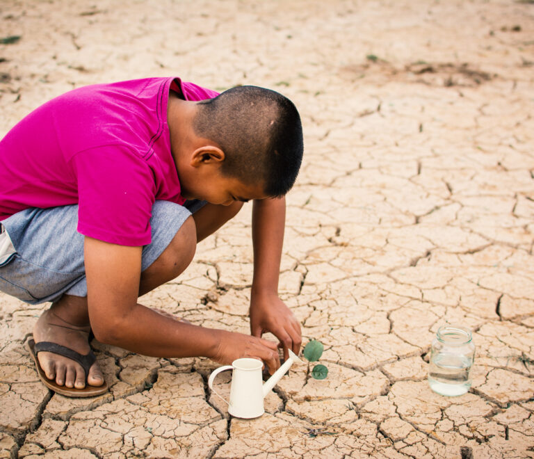 Cómo IGBiogas ayuda a la ganadería frente a la crisis hídrica