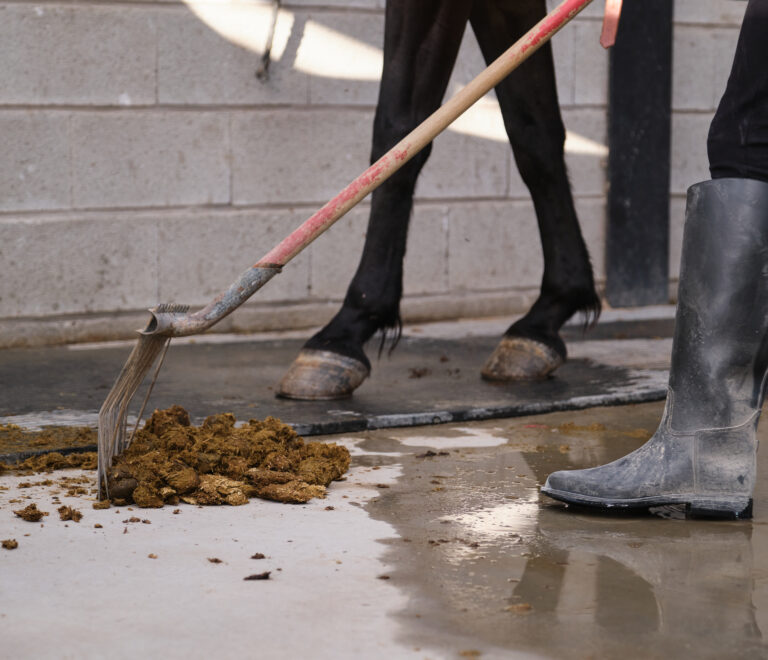 IGBiogas| Desechos en energía