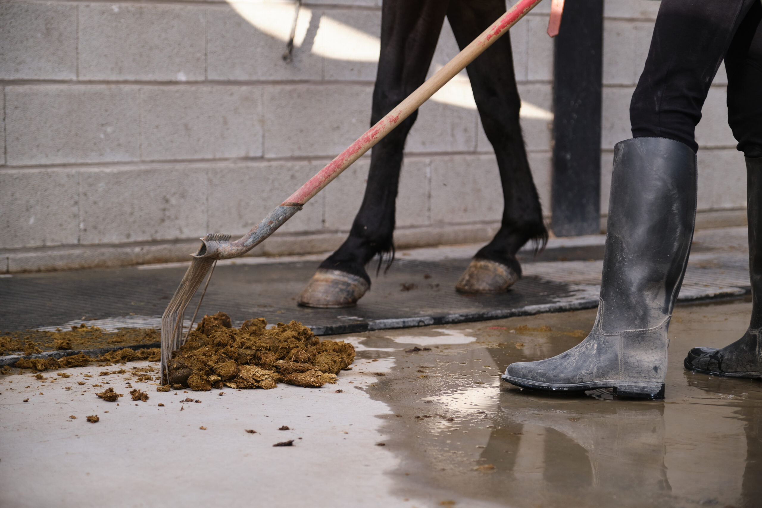 Unrecognizable farm worker legs cleaning horse faeces.